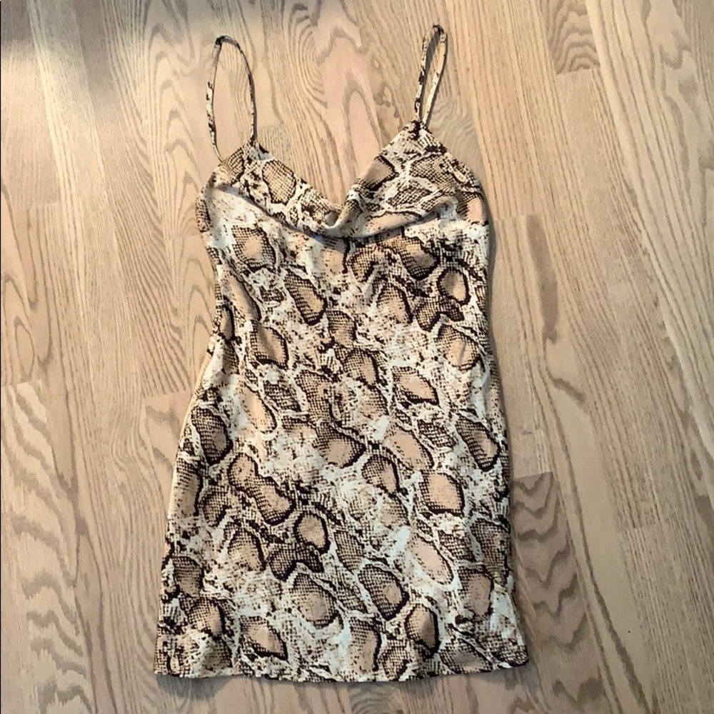 Snakeskin Crowe Neck Dress